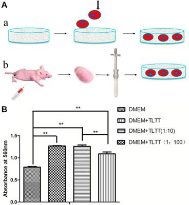 Three-Dimensional Silk Fibroin/Chitosan Based Microscaffold for Anticancer Drug Screening